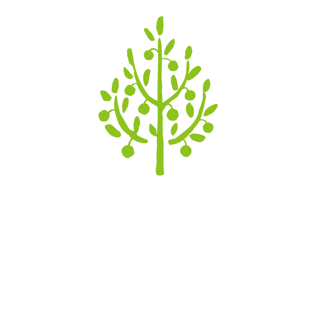 たちばな整骨院